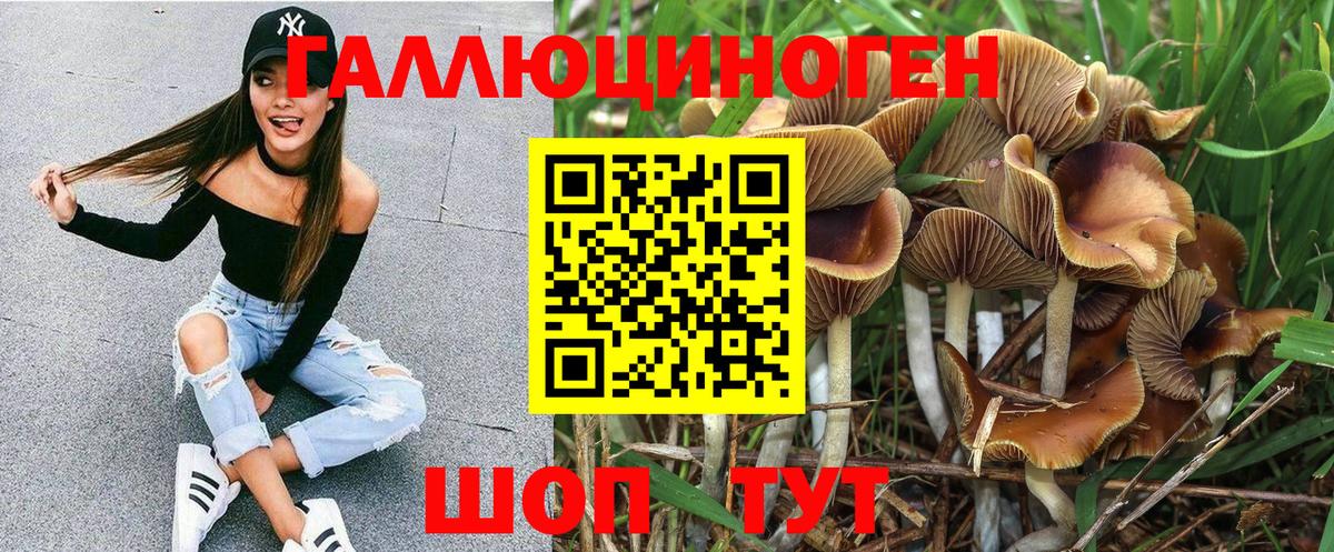 Псилоцибиновые грибы GOLDEN TEACHER  Вход с VPN  Елизово 